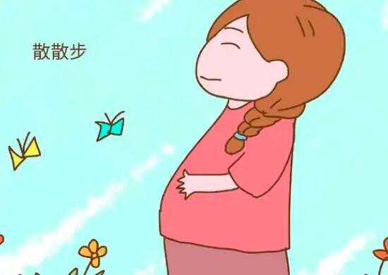 广州没有子宫代孕|揭秘泰国试管婴儿胚胎培养实验室环境