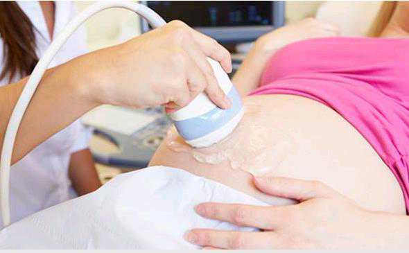 广州哪里找代孕女|试管婴儿前期检查到移植需要 血清碱性磷酸酶异常后果