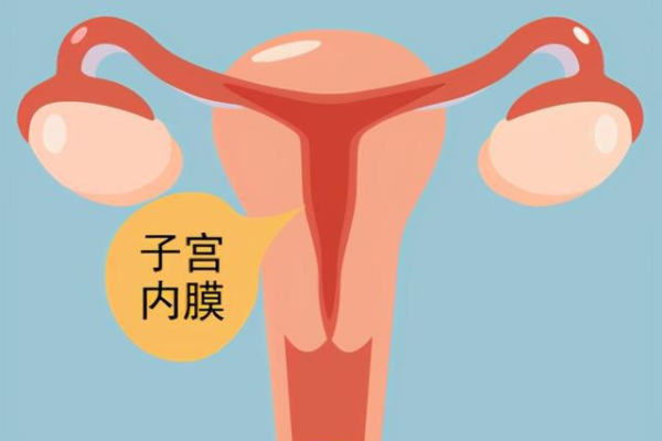 广州有私人代孕|2023周口三代试管助孕生儿子费用分析，能不能报销看完便知