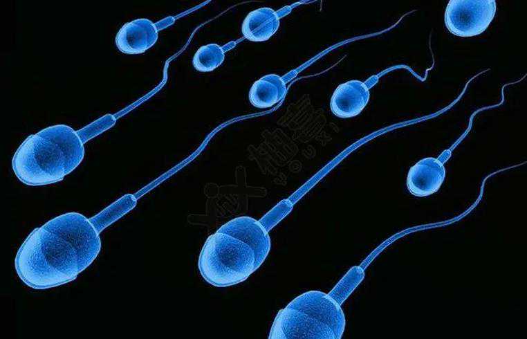 广州有卖精子的微信群吗 2023
广州供卵大概多少钱？ ‘孕囊测男女’