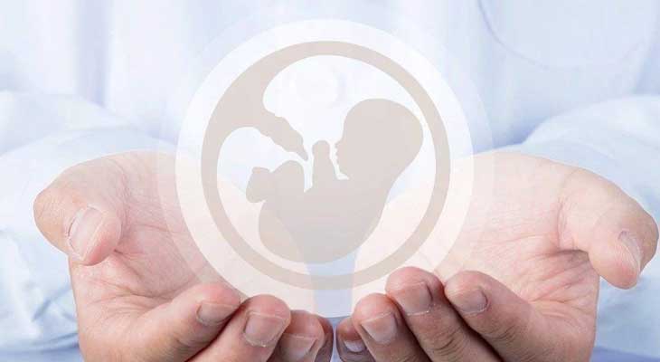 孕宝国际骗局：做试管婴儿就一定生双胞胎？河北姐妹这些风险要知道！