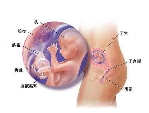 广州怎么找代孕微信_广州如何到去代孕_金宝贝环球宝贝苏丹：孕妇感冒了不可