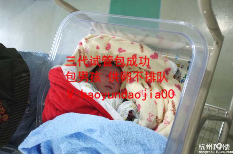 广州医院供卵_供卵5次不成功_男性弱精症疾病有哪些危害呢