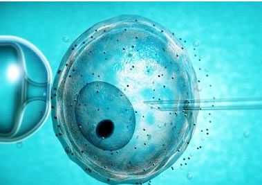 试管染色体有异常_切除子宫息肉怀孕_美国试管婴儿取卵时全麻处理会影响卵子