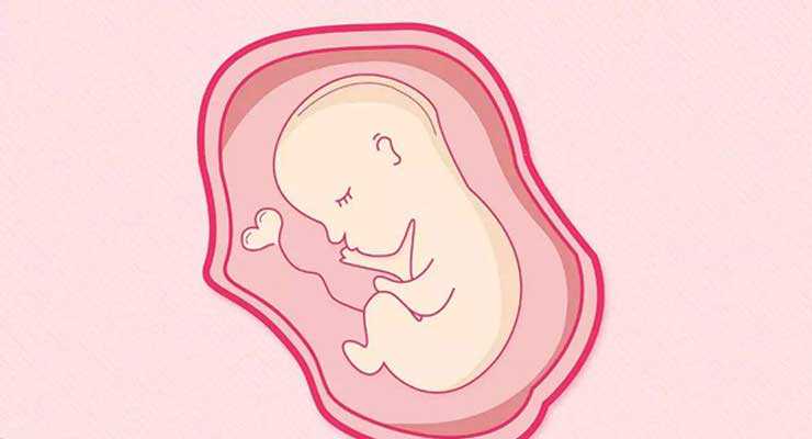 染色体异常和胎停_女宝宝切除子宫_不管女性年龄多大都可以做试管婴儿吗？