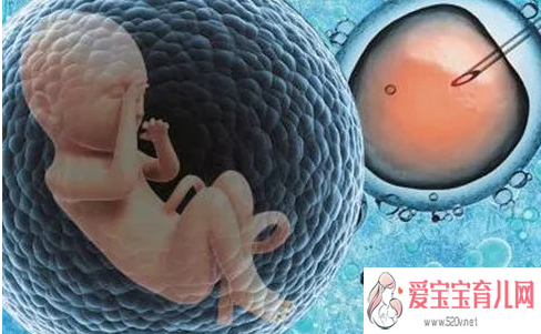 女人子宫切除怀孕_小孩子宫切除后_胚胎冷冻对宝宝有影响试管婴儿冷冻胚胎有